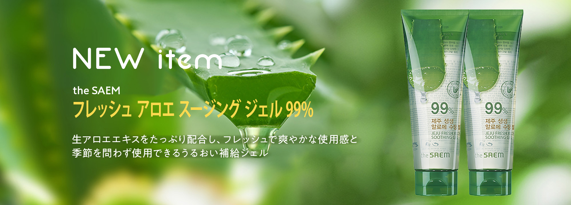 アロエ