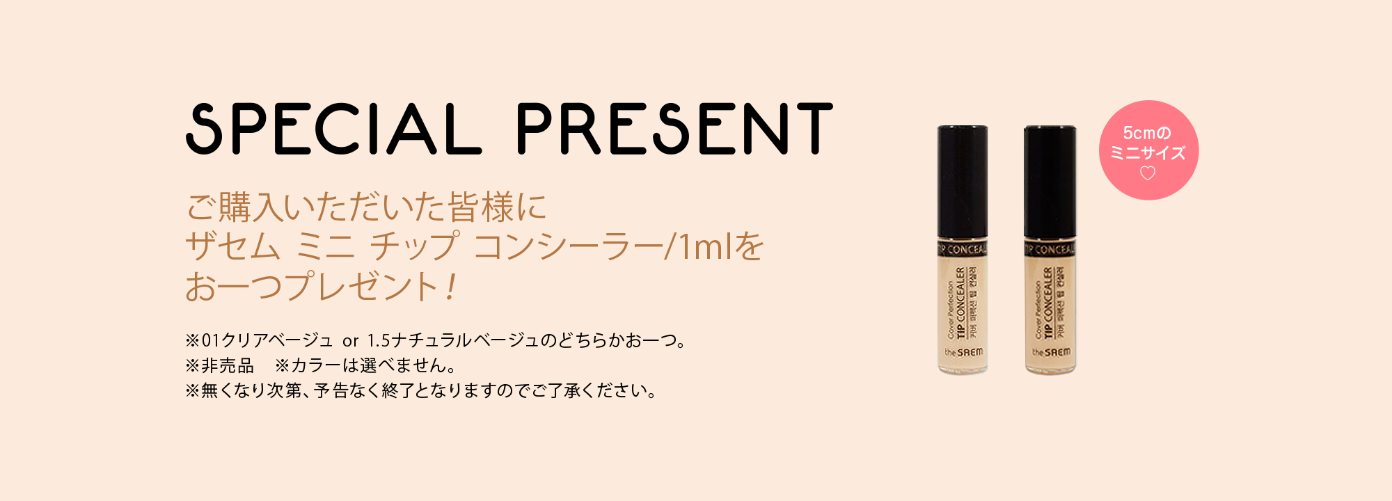 ミニチップ