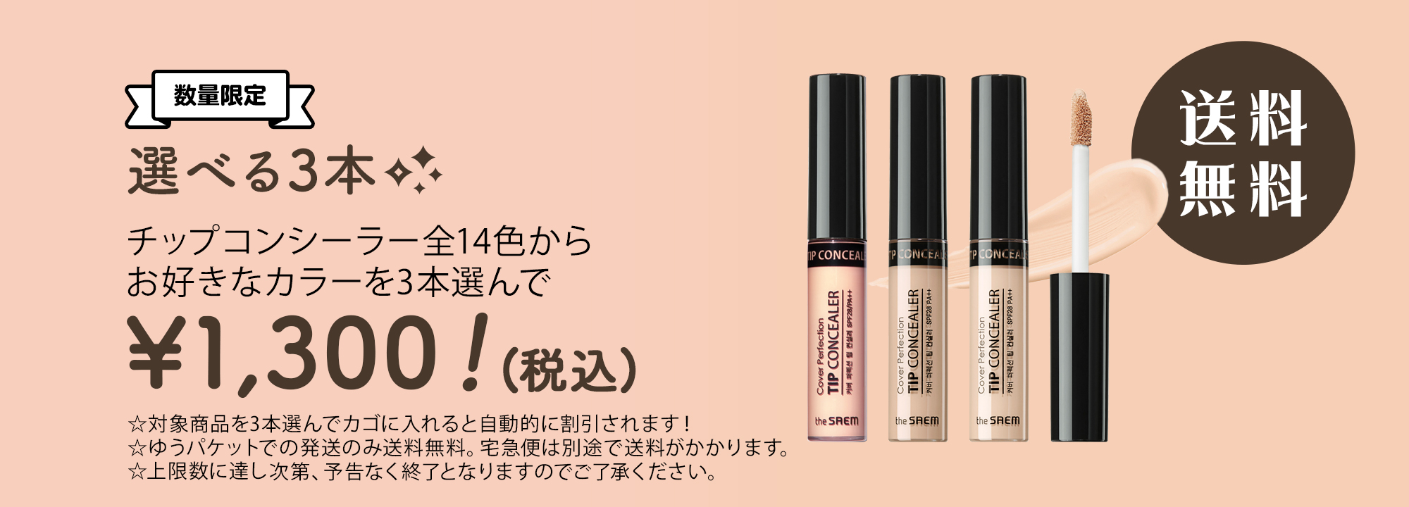 チップ3本セット