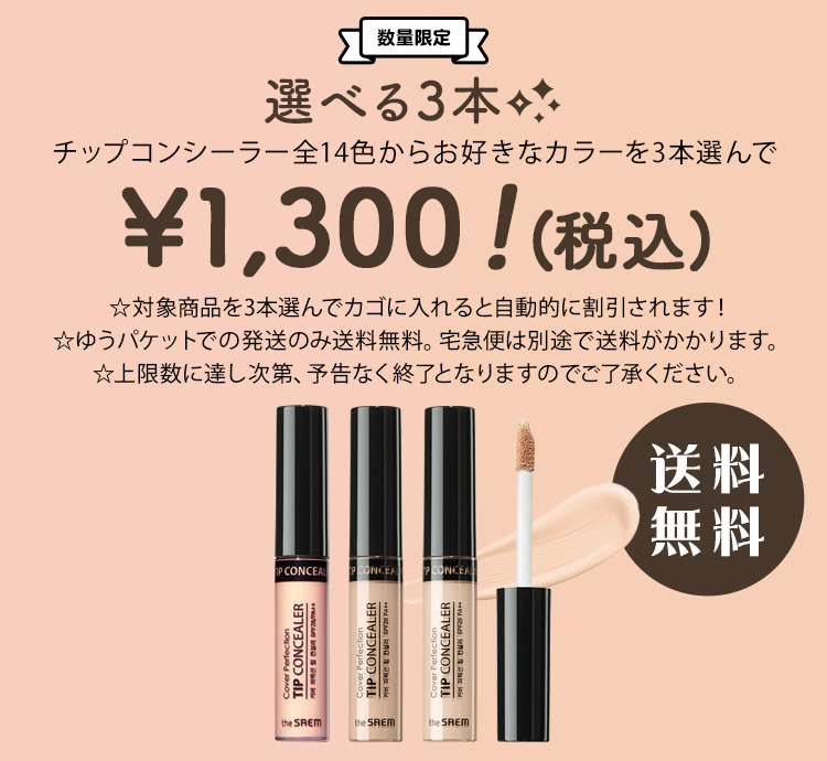 チップ3本セット